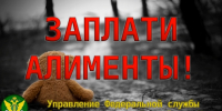 Заплатила – не значит улетела - УФССП