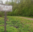 6 июня в парке новгородской усадьбы «Онег» пройдëт Большой музыкальный субботник. - Новгородские Ведомости