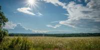 На улице заметно потеплеет - MyOmutninsk.Ru