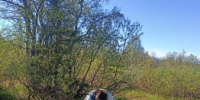 IMG20260605140154 - ГБУ СОН НАО КЦСО