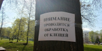 Более 250 туляков пострадали от укусов клещей за неделю - ИА Новомосковск Сегодня