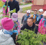 Зелёная пятница в Новодвинске. - Город Новодвинск