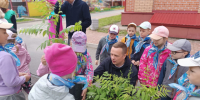 Зелёная пятница в Новодвинске. - Город Новодвинск