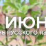 Иллюстрация: телеканал "Первый Псковский" - InformPskov.Ru