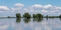Вода река половодье - Сетевое издание Арбуз