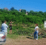 Соблюдение чистоты – дело общее! - ТОС Омска