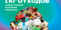 Жители Томской области могут бесплатно пользоваться образовательными ресурсами Российского экологического оператора - Департамент по вопросам семьи и детей