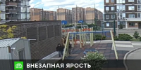 Предлагаем Вашему вниманию сюжет программы "ЧП" телеканала НТВ о расследовании уголовного дела о противоправных действиях женщины в отношении несовершеннолетнего в Новороссийске - Следственный комитет