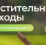 Как правильно утилизировать растительные отходы?. - Краснояружский район