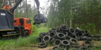 В лесу недалеко от липецкого поселка Заречье обнаружили свалку автомобильных шин - Комсомольская Правда