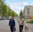 Всю жизнь говорила собаке «прости», а зря: муж показал три жеста — доверие вернулось за минуту - ProGorodNN.Ru