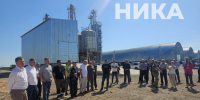 В Калужской области запускается производство рапсового масла - Телерадиокомпания Ника