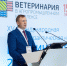 Студенты Тимирязевки победители кейс-чемпионата «Будущее ветеринарии» - РГАУ-МСХА имени К.А. Тимирязева
