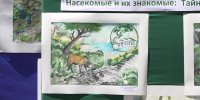 Заповедник «Утриш» торжественно наградил юных экологов и их педагогов за участие в конкурсах - ТРК Анапа Регион