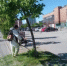 Навели чистоту и порядок - Заневское городское поселение