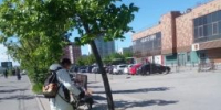 Навели чистоту и порядок - Заневское городское поселение