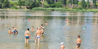 Ростовчан приглашают на экологический субботник на Зелёный остров - Big-Rostov.Ru