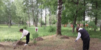 Работы на территории школы продолжаются. - Новгородские Ведомости