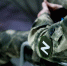 В Коми участникам СВО и их родным зарезервируют рабочие места - Bnkomi.Ru