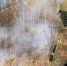Вологда-поиск - Вологда-поиск