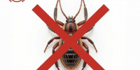 1wSI1EqgE0TaOM6lvjzfbZzBwpnIOR4VLZEKexQ4i9BORVIMZ4RBYe16mZX-gB6UK_DvAXzYlcohnRNB0uK5bVZm.jpg - Чебоксарская РБ