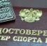 Троим орловским спортсменам присвоили звание «Мастер спорта России» - Орловский Вестник