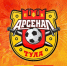 «Арсенал» успешно прошел проверку РФС перед новым сезоном - ИА Тульская пресса.Ru