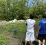 img - ЛДПР