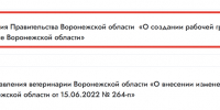 Власти среагировали на серьезные проблемы в воронежском стройкомплексе - Bloknot-Voronezh.Ru