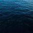 Фото: Stock High angle view/Shutterstock/Fotodom - Ямал-Медиа