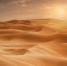 Фото: Atif Mahmud/Shutterstock/Fotodom - Ямал-Медиа