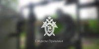 В Перми кадеты профильного класса СК России приняли участие в литературно-патриотическом мероприятии «Пушкинское чтение», приуроченном ко дню рождения поэта - Следственный комитет