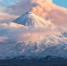 Фото: GENNADY TEPLITSKIY/Shutterstock/Fotodom - Ямал-Медиа