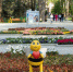 Сергей Аксёнов поздравил жителей Симферополя с Днём города - КрымИнформ