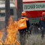 В Самарской области количество лесных пожаров сократилось почти в 3 раза - TLT.Ru