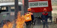 В Самарской области количество лесных пожаров сократилось почти в 3 раза - TLT.Ru