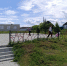 В рамках  областного субботника в Городищенском районе  проведены работы по благоустройству и санитарной очистке территорий населённых пунктов - Городищенский район