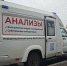 Фото: ПАИ - InformPskov.Ru
