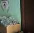 img - ЛДПР