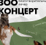 В Белгороде пройдёт благотворительный зоо-концерт - Fonar.Tv