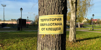 В Коми за последнюю неделю мая от клещей пострадали 476 человек - Pg11.Ru