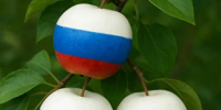«Сады России 2026»: в Минеральных Водах обсудят развитие садоводства и питомниководства - Правительство КБР