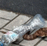 Щитомордник приполз к "Пяторочке" во Владивостоке - Baikal24.Ru