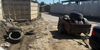 Фото: Владимир Часовитин, министр экологии - НИА