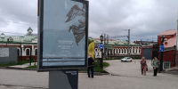 Дягилевский фест 2026 - Новый Компаньон