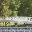 Большой международный фестиваль искусств «Пушкин без границ» в эфире "Нижний Новгород 24" - ГТРК Нижний Новгород