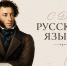 Александр Соколов: русский язык - наш особый культурный код - Правительство области