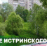 Истринская молодежь открыла сезон на пляжной зоне в Истре - Газета Истра сегодня