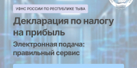 Декларацию по налогу на прибыль можно подать быстро и без очередей в электронной форме. - УФНС