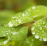 Какая погода ожидается в Сахалинской области 7 июня - CitySakh.Ru